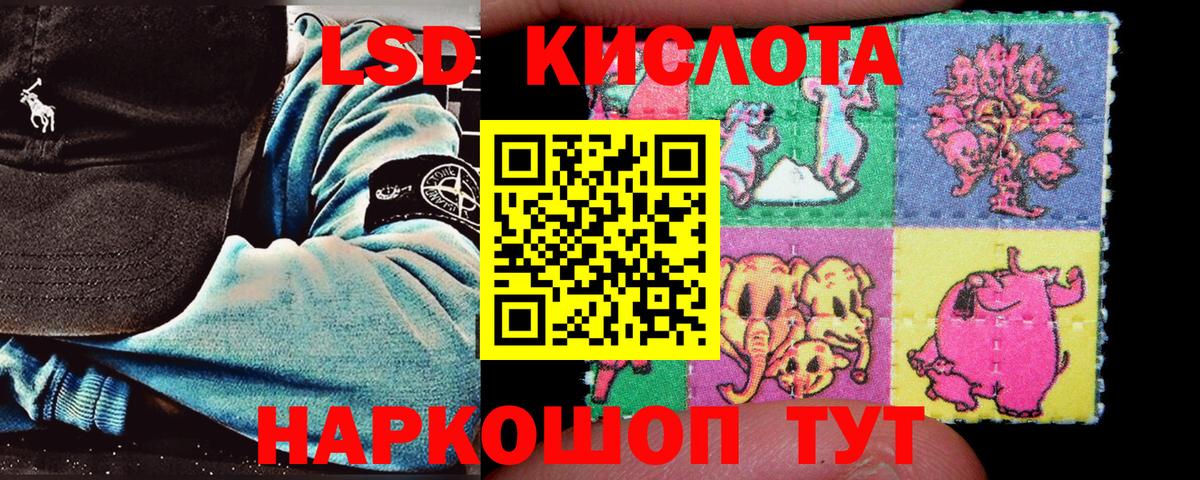 Галлюциногенные грибы Донской