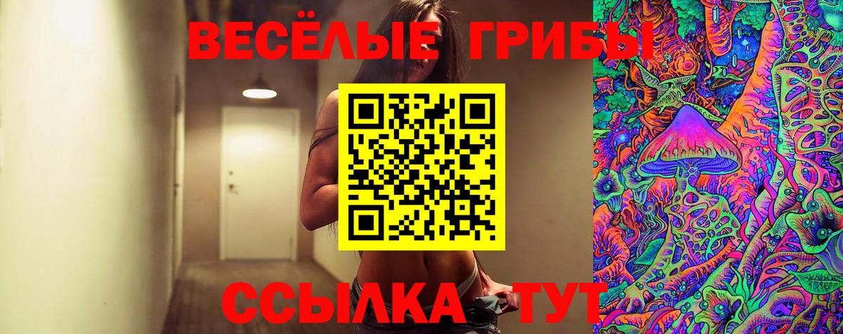 Галлюциногенные грибы прущие грибы Донской
